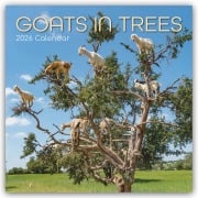 Goats in Trees - Ziegen auf Bäumen 2026 - 16-Monatskalender - Gifted Stationery Co. Ltd