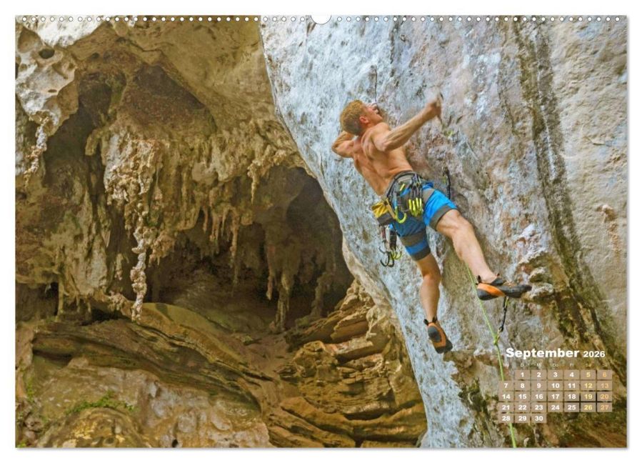 InsideView 14