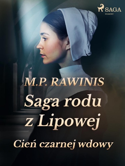 Saga rodu z Lipowej 10: Cien czarnej wdowy - Marian Piotr Rawinis