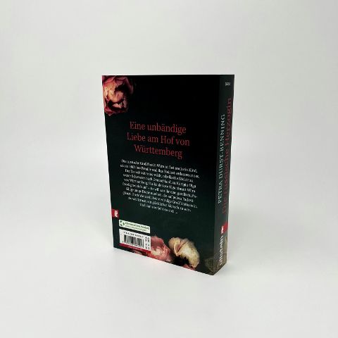 InsideView 2