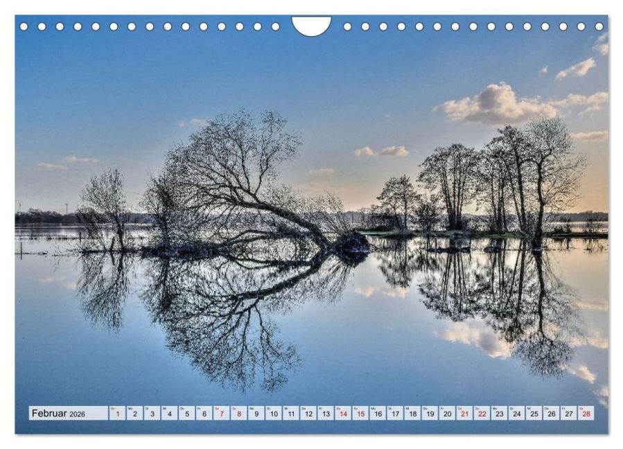 InsideView 7