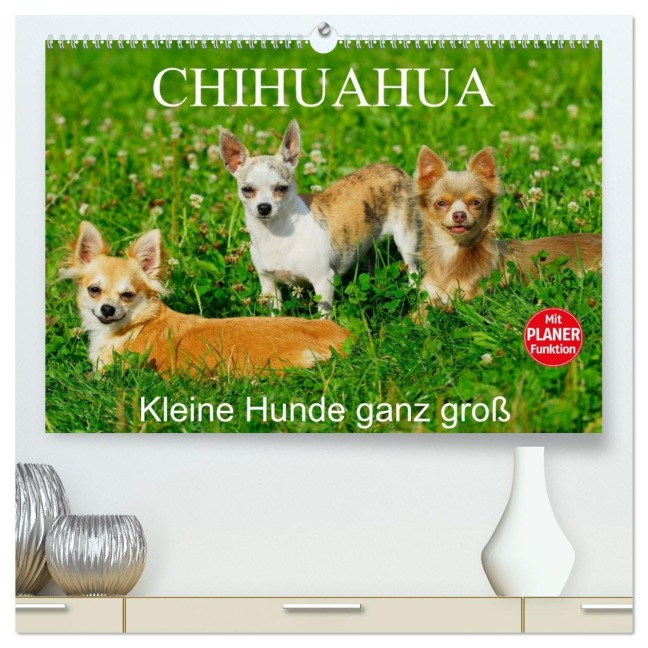 Chihuahua - Kleine Hunde ganz groß (hochwertiger Premium Wandkalender 2026 DIN A2 quer), Kunstdruck in Hochglanz - Sigrid Starick