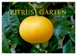 Cover-Bild zum Titel 'Bio Zitrus Garten (Wandkalender 2026 DIN A2 quer), CALVENDO Monatskalender' von 'Martin Rauchenwald'