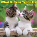 What Kittens Teach Us 2025 12 X 12 Wall Calendar - Willow Creek Press
