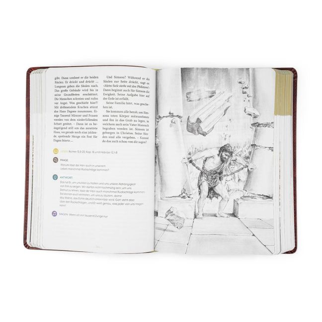 InsideView 3