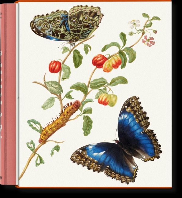 Merian - Katharina Schmidt-Loske