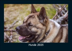 Cover-Bild zum Titel 'Hunde 2025 Fotokalender DIN A5' von 'Tobias Becker'