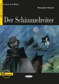 Cover-Bild zum Titel 'Der Schimmelreiter' von 'Theodor Storm'