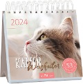 Postkartenkalender Katzenweisheiten 2024 - 