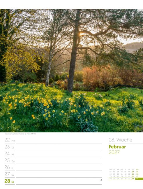 InsideView 12