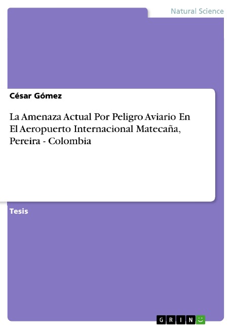 La Amenaza Actual Por Peligro Aviario En El Aeropuerto Internacional Matecaña, Pereira - Colombia - César Gómez