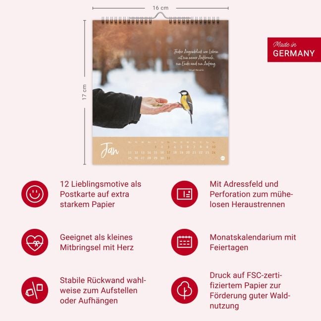 InsideView 13