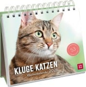 Wochenkalender 2026: Kluge Katzen - 