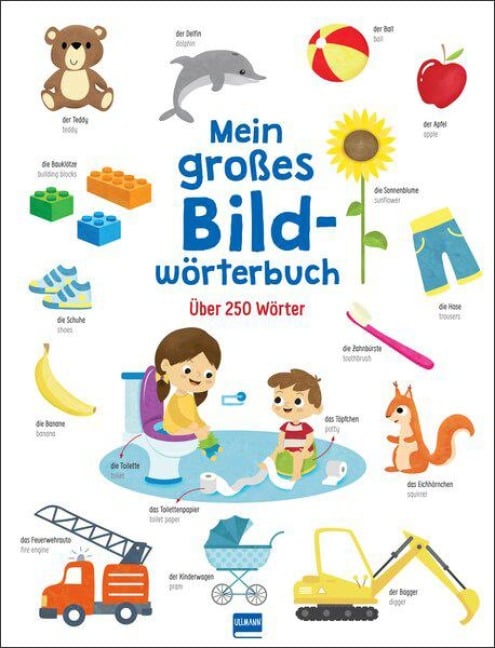 Mein großes Bildwörterbuch - 