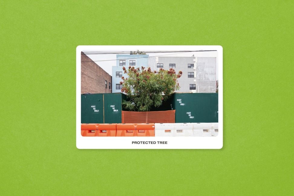 InsideView 7