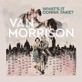 What's It Gonna Take - Van Morrison