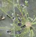 Cover-Bild zum Titel 'Myriad' von 'Yves Reichmuth'