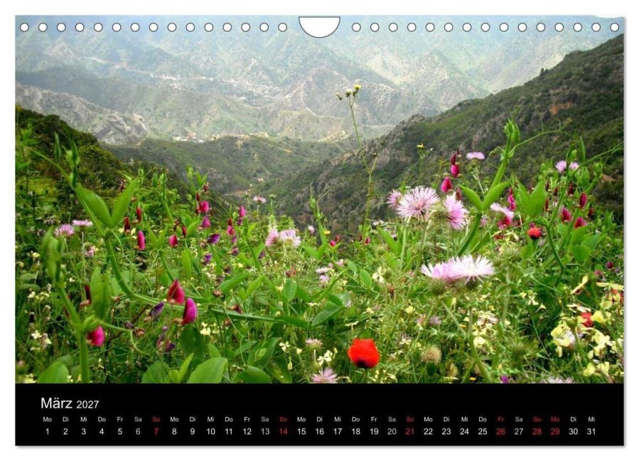 InsideView 8