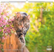 Geliebte Stubentiger 2026 - DUMONT Wandkalender - mit den wichtigsten Feiertagen - Format 38,0 x 35,5 cm - 