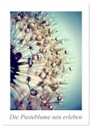 Cover-Bild zum Titel 'Die Pusteblume neu erleben (Wandkalender 2026 DIN A2 hoch), CALVENDO Monatskalender' von 'Julia Delgado'