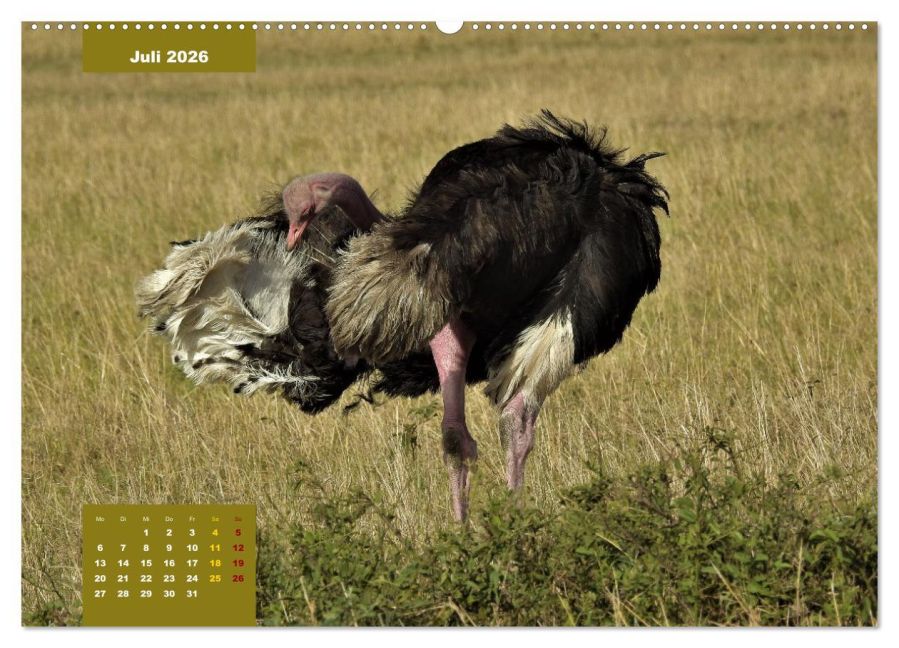 InsideView 11