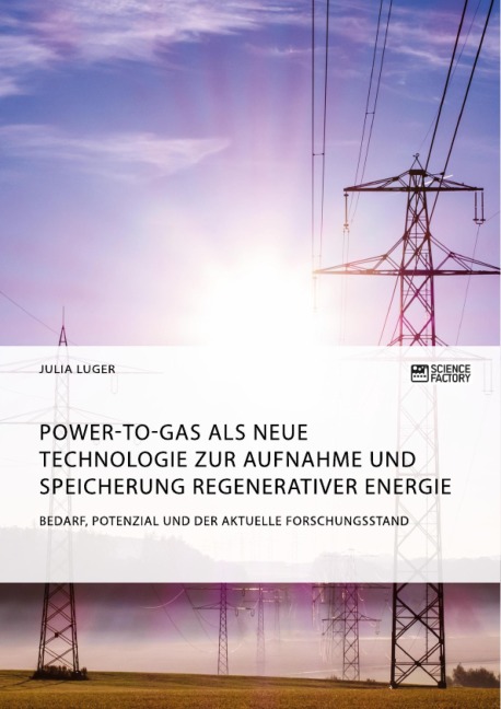 Power-to-Gas als neue Technologie zur Aufnahme und Speicherung regenerativer Energie. Bedarf, Potenzial und der aktuelle Forschungsstand - Julia Luger