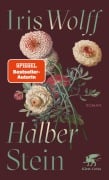 Cover-Bild zum Titel 'Halber Stein' von 'Iris Wolff'