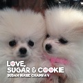 Cover-Bild zum Titel 'Love, Sugar and Cookie' von 'Susan Marie Chapman'