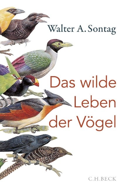 Das wilde Leben der Vögel - Walter A. Sontag