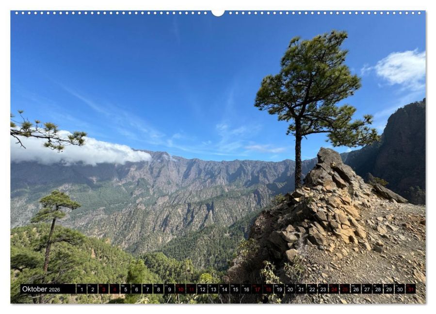InsideView 1