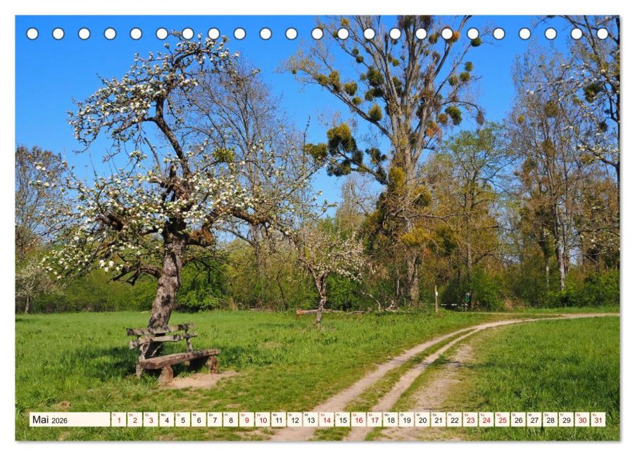 InsideView 10