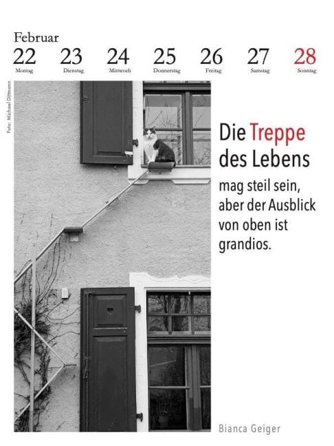 InsideView 3