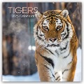 Tigers - Tiger 2025 - 16-Monatskalender - The Gifted