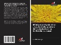 Cover-Bild zum Titel 'Effetto dei ritardanti di crescita delle piante e della pizzicatura su Gaillardia cv. Local' von 'Nishith Vasoya'