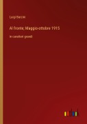 Cover-Bild zum Titel 'Al fronte; Maggio-ottobre 1915' von 'Luigi Barzini'