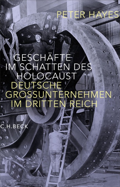 Geschäfte im Schatten des Holocaust - Peter Hayes