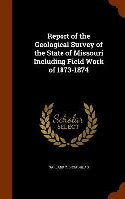 Report of the Geological Survey of the State of Missouri Including Field Work of 1873-1874 - Garland C. Broadhead
