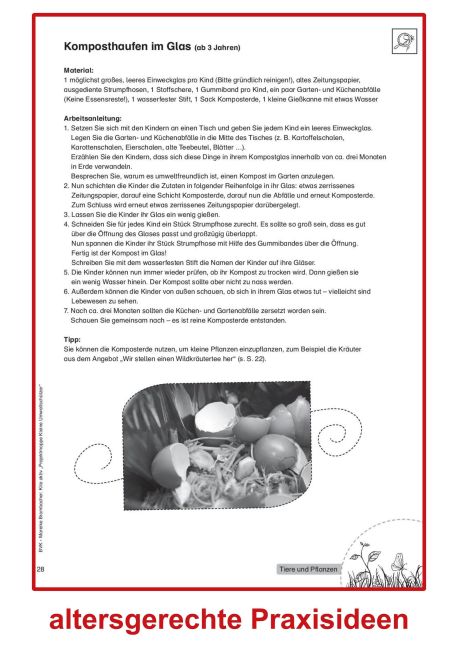 InsideView 6
