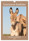 Entzückende Esel - Charmant und liebenswert (Wandkalender 2024 DIN A4 hoch), CALVENDO Monatskalender - Meike Bölts