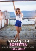 Cover-Bild zum Titel 'Menage in Soffitta' von 'Lara Steele'
