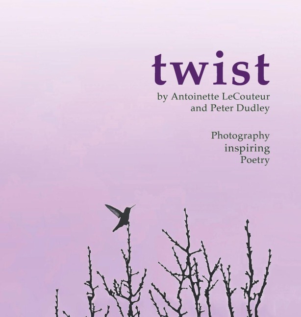 twist - Peter Dudley