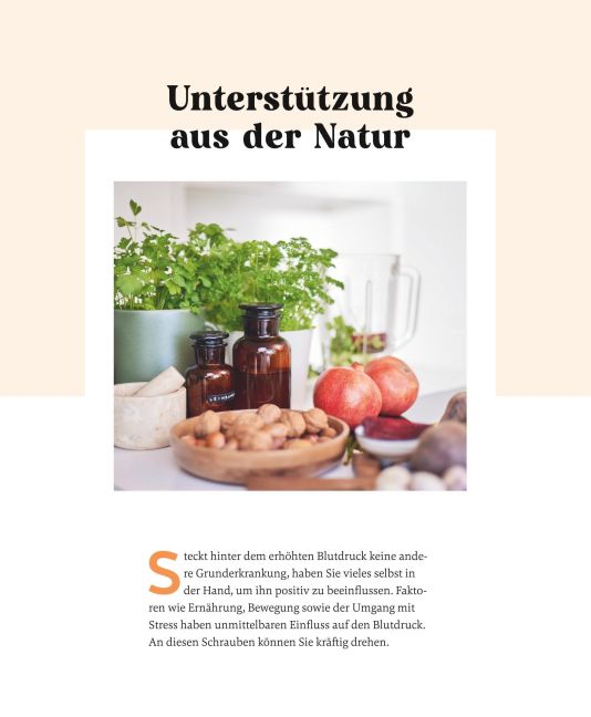 InsideView 41