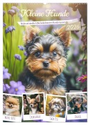 Kleine Hunde. Süß und niedlich. Die beliebtesten Hunderassen (Wandkalender 2026 DIN A2 hoch), CALVENDO Monatskalender - Rose Hurley