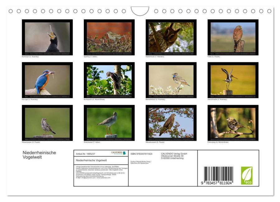 InsideView 5