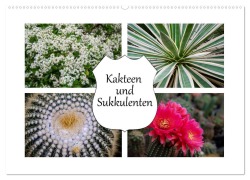 Cover-Bild zum Titel 'Kakteen und Sukkulenten (Wandkalender 2026 DIN A2 quer), CALVENDO Monatskalender' von 'Steffen Gierok'