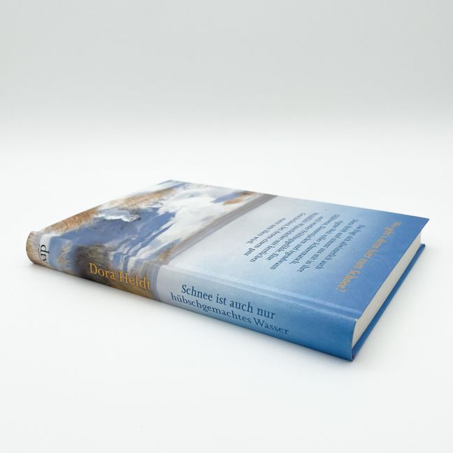 InsideView 3