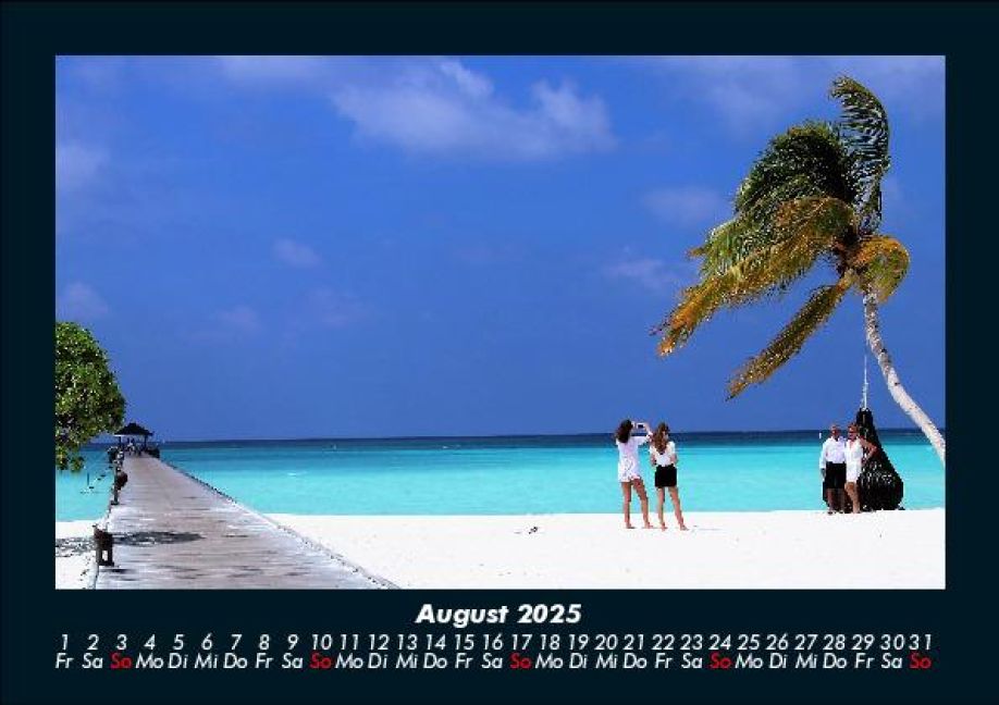 InsideView 12