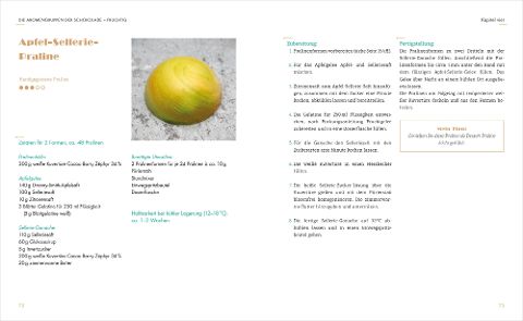 InsideView 2