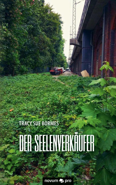 Der Seelenverkäufer - Tracy Sue Bormes