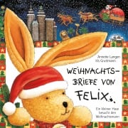 Cover-Bild zum Titel 'Weihnachtsbriefe von Felix (Ein kleiner Hase besucht den Weihnachtsmann)' von ''